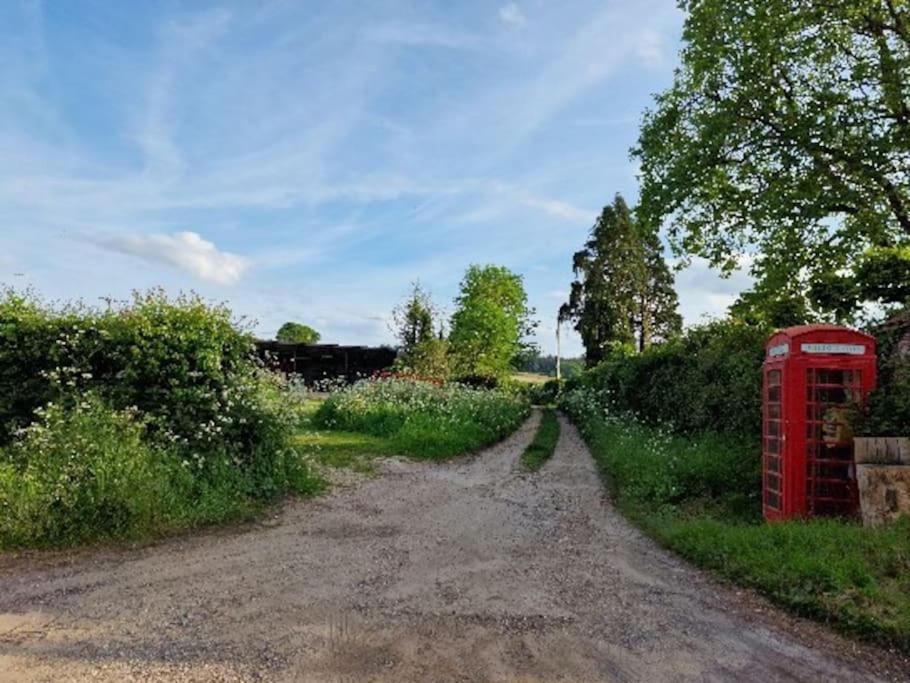 Piddle Puddle Cabin Dorchester Ngoại thất bức ảnh